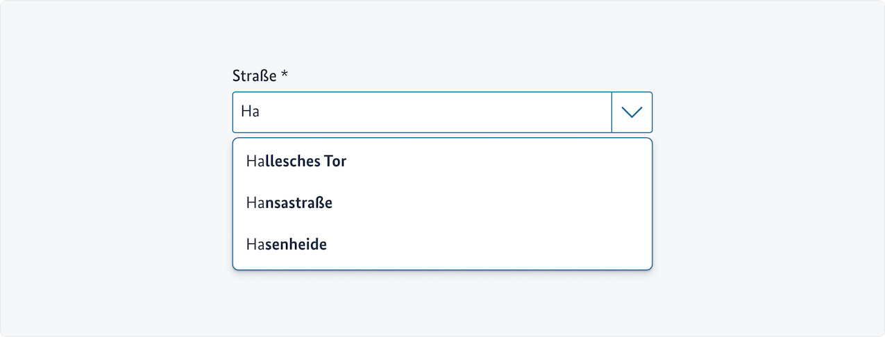 Geöffnete Combobox mit unvollständigen Eingaben und einer Vorschlagsliste